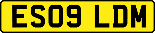 ES09LDM