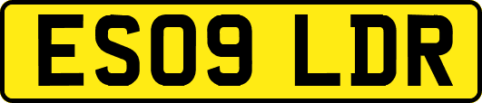 ES09LDR