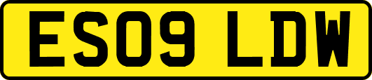 ES09LDW