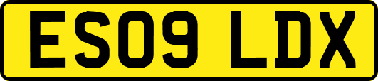 ES09LDX