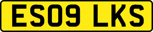 ES09LKS