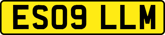 ES09LLM