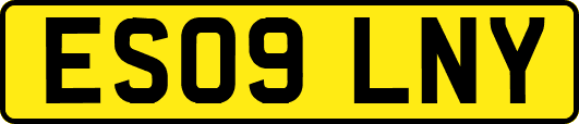 ES09LNY
