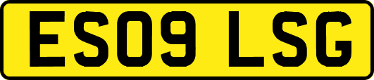 ES09LSG
