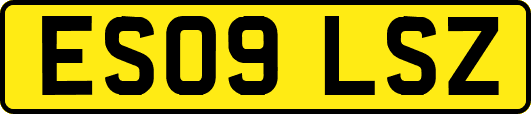ES09LSZ