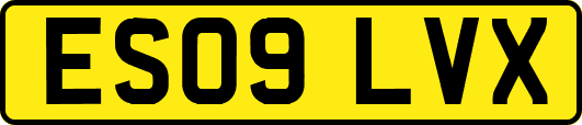 ES09LVX