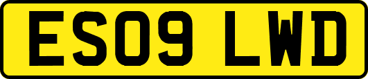 ES09LWD
