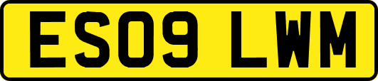 ES09LWM