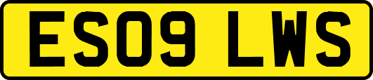 ES09LWS