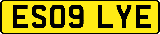 ES09LYE
