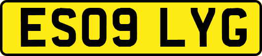 ES09LYG