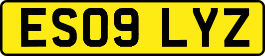 ES09LYZ