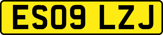ES09LZJ