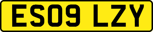 ES09LZY
