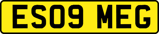 ES09MEG