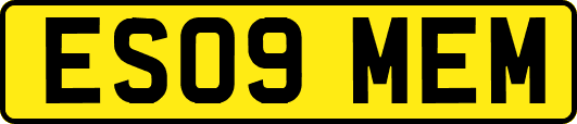 ES09MEM