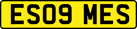ES09MES
