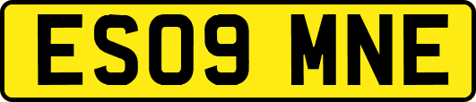 ES09MNE