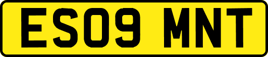 ES09MNT