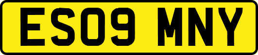 ES09MNY
