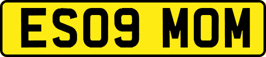 ES09MOM