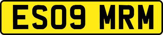 ES09MRM