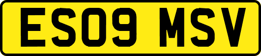 ES09MSV