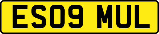 ES09MUL