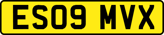 ES09MVX