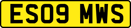 ES09MWS