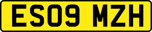 ES09MZH