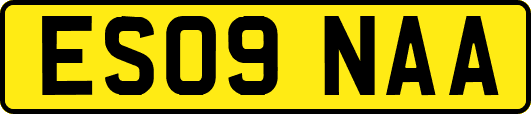 ES09NAA