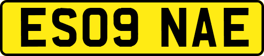 ES09NAE