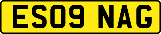 ES09NAG