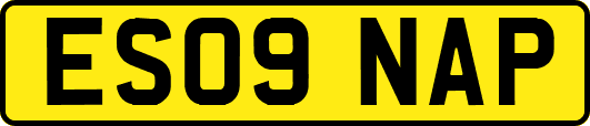 ES09NAP