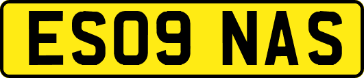 ES09NAS