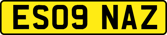 ES09NAZ