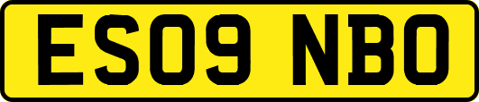 ES09NBO