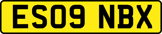 ES09NBX