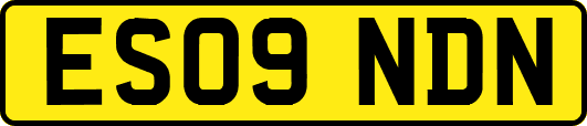 ES09NDN