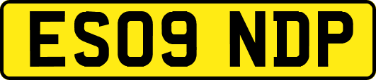 ES09NDP