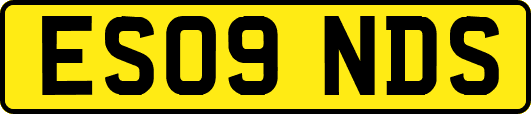 ES09NDS