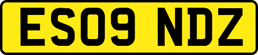 ES09NDZ