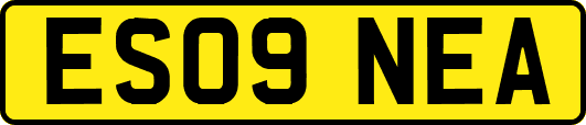ES09NEA