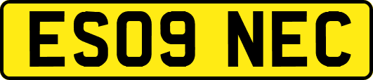 ES09NEC