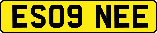 ES09NEE