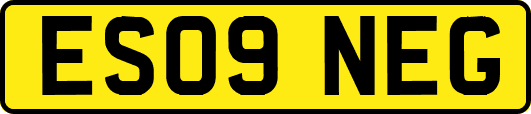 ES09NEG