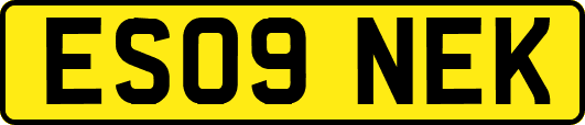 ES09NEK