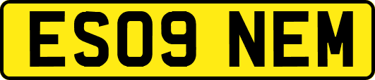 ES09NEM