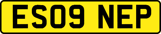 ES09NEP